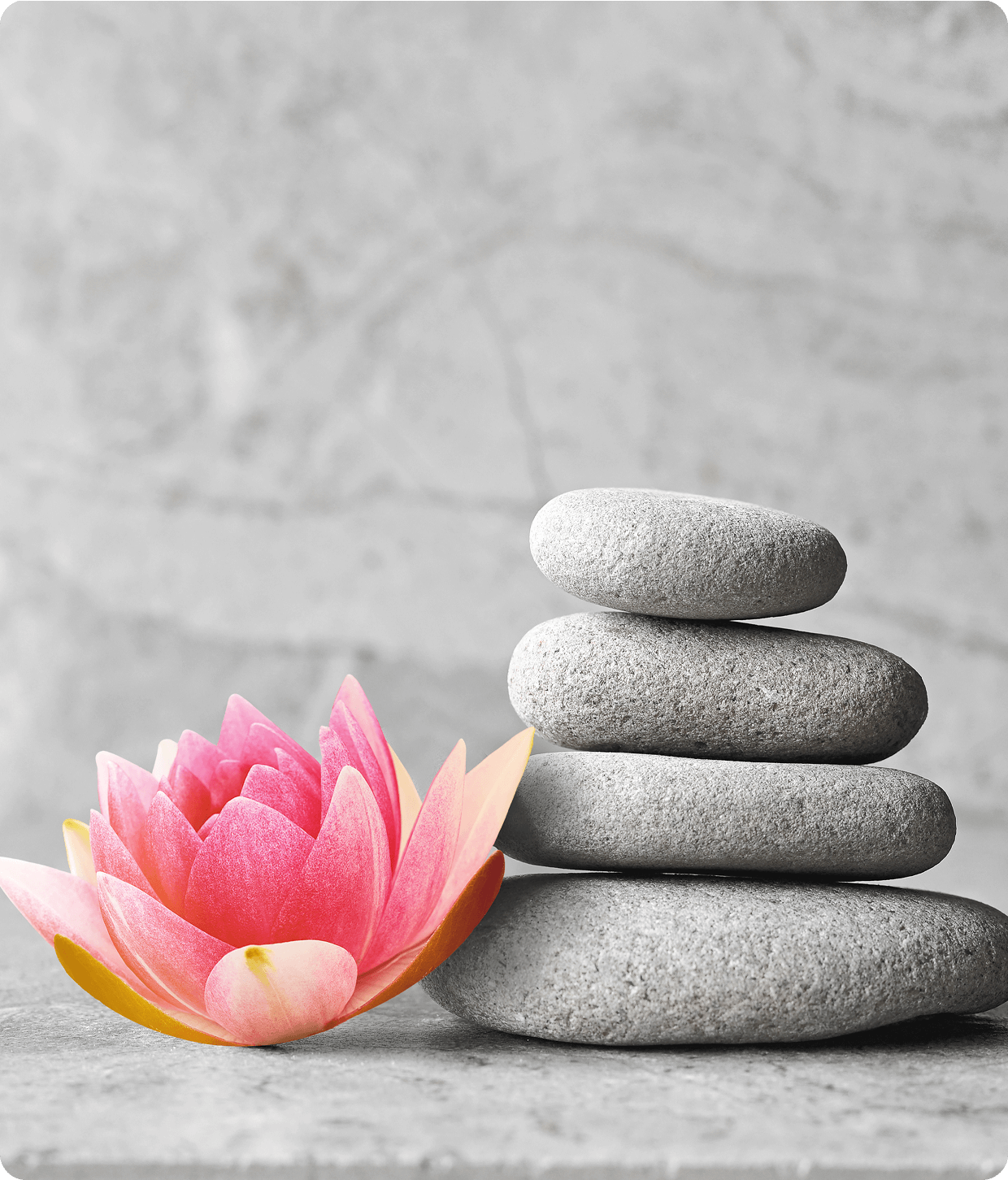 Tranquil spa scene with stones and flower